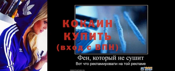 сатива Тутаев
