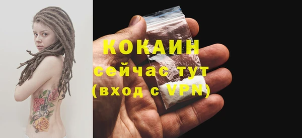 твердый Покачи