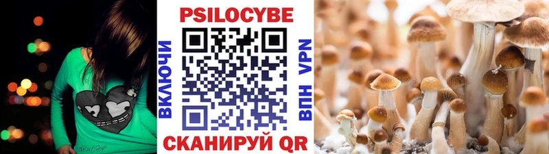 Псилоцибиновые грибы Magic Shrooms  Трёхгорный 